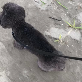 ♪お散歩動画♪お台場海浜公園♪の画像