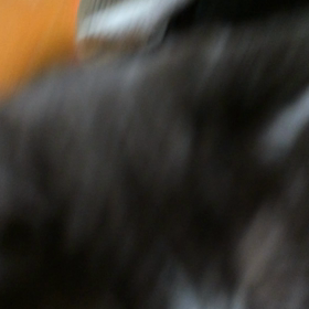 ベリーダンスナイト終わりましたの画像