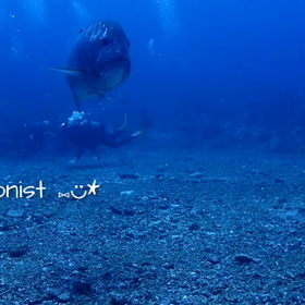 GTと戯れてきた〜！！の画像