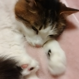 2022・5・19の画像