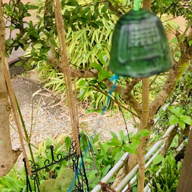 介護記録９０（今出来ることはやる）の画像