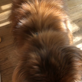 2020年1月1日の画像