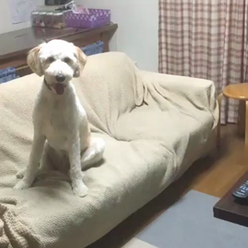 キャッチが上手になったｮU^ェ^Uの画像