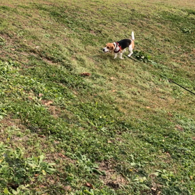 爆速、ローリングの画像