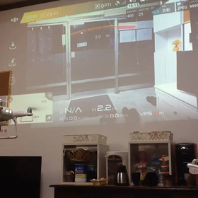 コレをやりたかったんですの画像