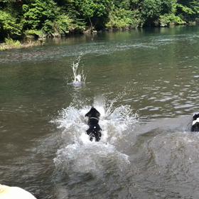 川遊び‼️の画像
