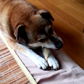 大好物のジャーキーの画像