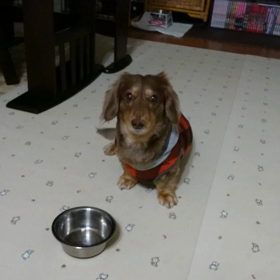 実は、薄情者らしい☆の画像