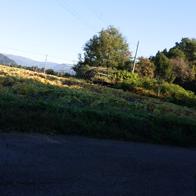 今朝、ドローンを見てる孫の姿の画像