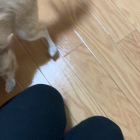 今日のソラくん♡の画像