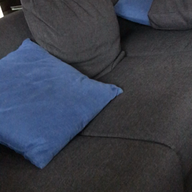 しもべがいない。の画像