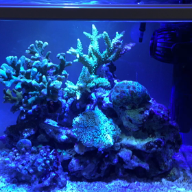 動画撮りました！の画像