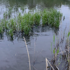 お待たせ…､はじまりましたの画像