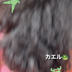 カエルの画像