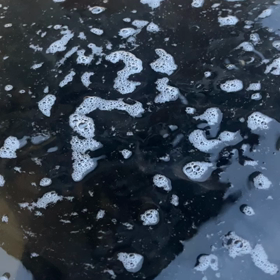 明日の午前中は貸切となります。の画像