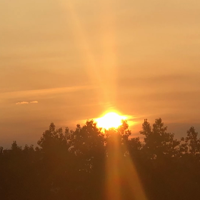 おはようこざいます。の画像