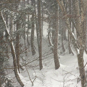 雪が舞ってますの画像