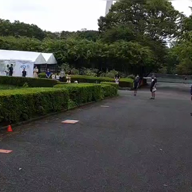 リレー選考会　スタート付近⑥の画像