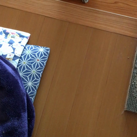 タマ、猫の免疫なしの画像