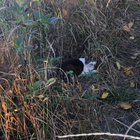 パチ屋の臭いが大っ嫌いなチビ！の画像