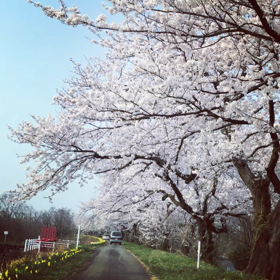 音楽教室も新学期♪の画像