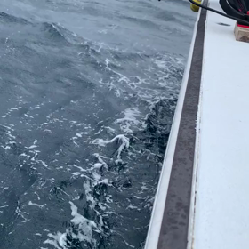 ぶら下がり！の画像