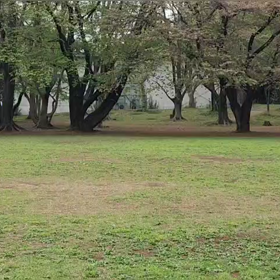 ジャベリック練習⑤の画像