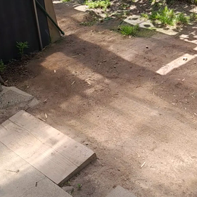 今日のちょこちゃんの画像