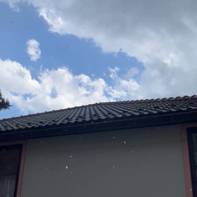 暇な日曜日の画像