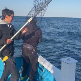 三度目の正直の画像