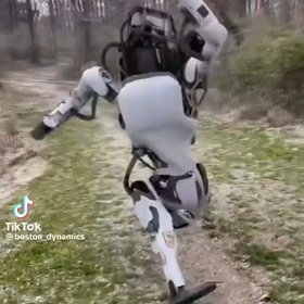 SecretPlayerSpecialの画像