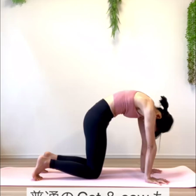 首・肩こり、腰痛、肋骨開きに効くストレッチの画像