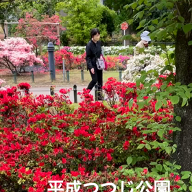 平成つつじ公園の画像