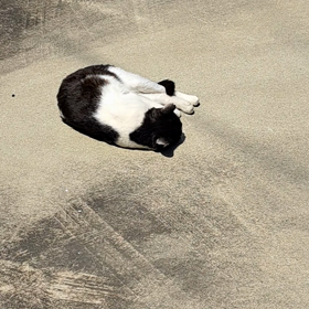誘ってる？の画像