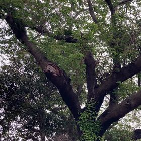 4月の忙しさハンパないの画像