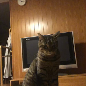 2023年4月30日(日)の画像