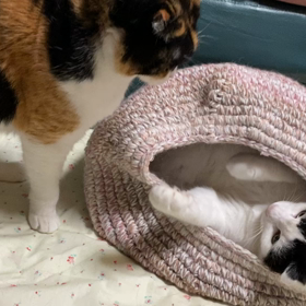 攻防の一部始終③の画像