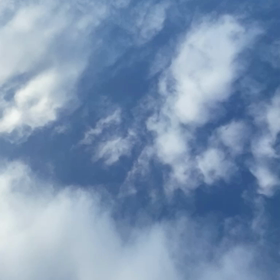おはDEATHっ和歌山ツバキ王国の画像