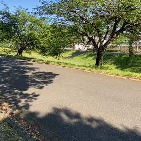 5/3 リレー選考会①の画像