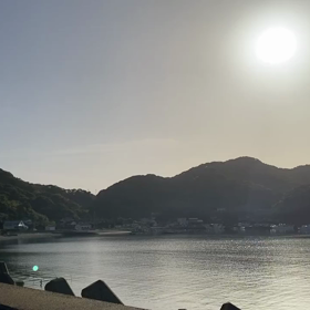 朝の画像