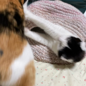 攻防の一部始終①の画像