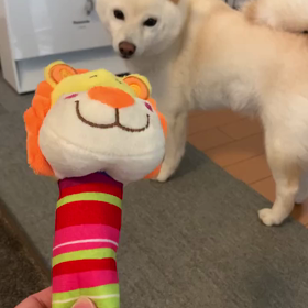 こんにちは！の画像