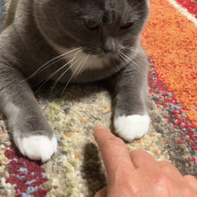 安定のマウントの画像