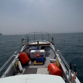 2023.4.20☆唐津に戻りました❗️☆の画像