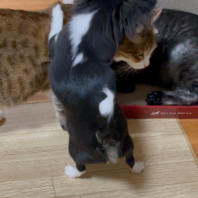 私の宝物の画像