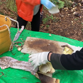 富山2023/4　筍取り１の画像