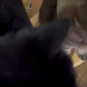 まやっぺ、入院しています。NO7の画像