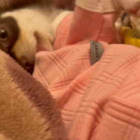 GW中で一番のお天気なのに。。( ；∀；)の画像