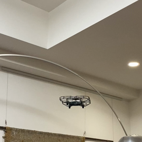 最近の我が家の画像