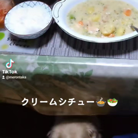 クリームシチューの画像